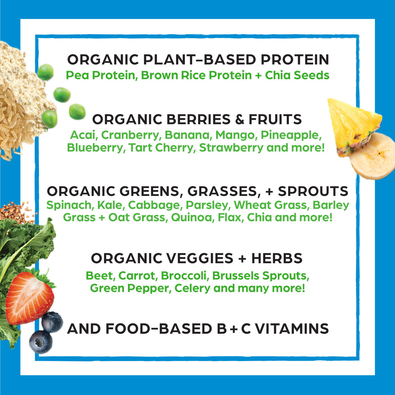 Orgain Organic Plant Protein Powder – Vegan Non-GMO Shake