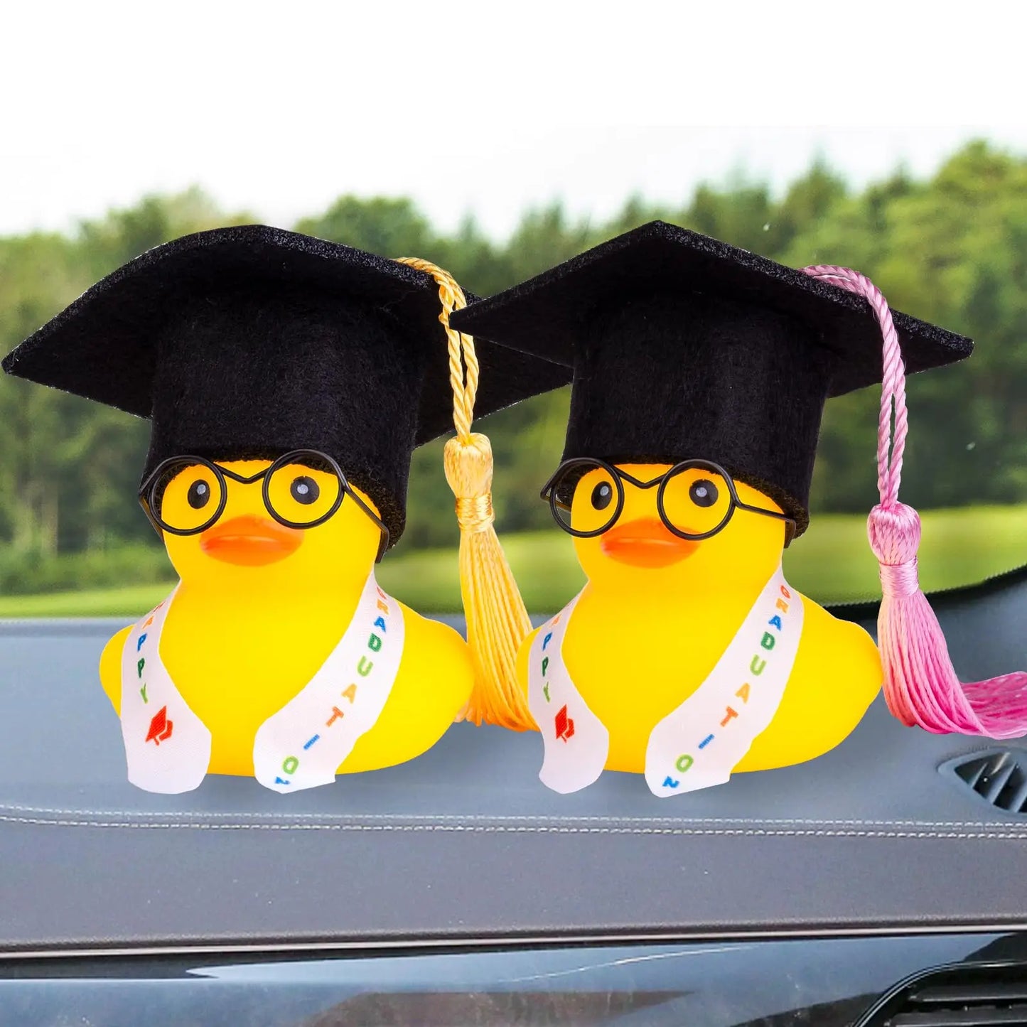 Graduation Ducks