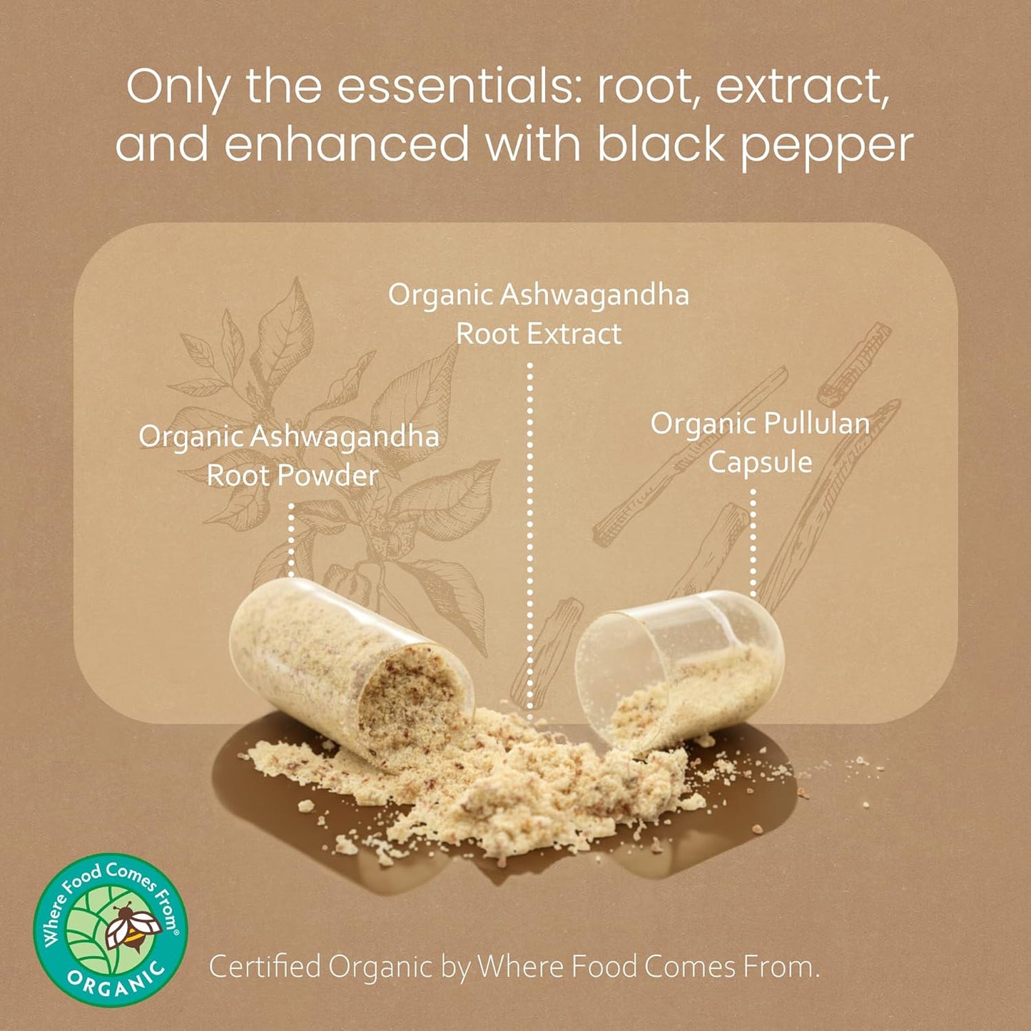 Organic Ashwagandha 2100 Mg per Serving – Root Powder & Extract – 100 Capsules – Vegan, Non-Gmo, Gluten-Free